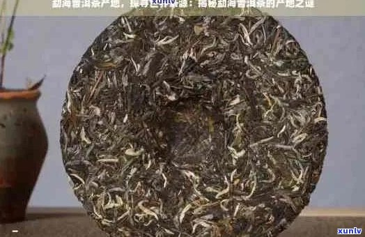 邦海普洱茶：品种、产地、 *** 工艺、功效与泡法的全面解析