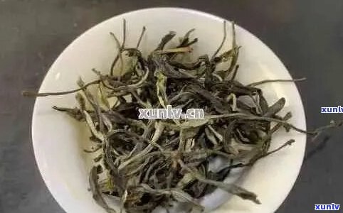 普洱茶芽好还是叶好：比较普洱茶芽尖和叶的区别