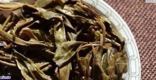 普洱茶芽叶梗：全面了解与挑选，从原料到品鉴的全方位解析