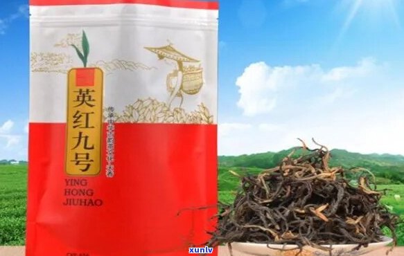 英德红茶排行：最新前10名排行榜