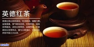 英德红茶排行：最新前10名排行榜