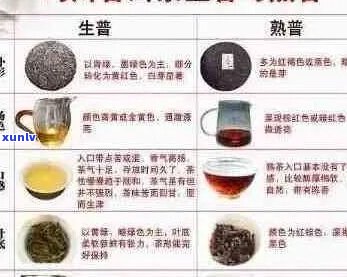 云南普洱茶龙凤呈祥的详细介绍与独特特点：品饮之道全解析