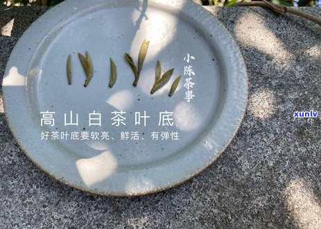 野生红茶与普洱茶之间的关系及其区别详解