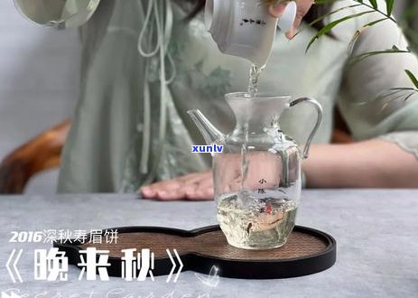 野生红茶与普洱茶之间的关系及其区别详解