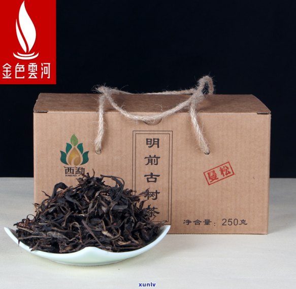 曼松普洱茶的口感特点：全面解析与品鉴指南