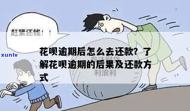 花呗逾期要还多少钱需要注意什么