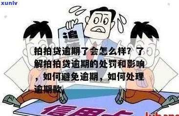 拍拍金融逾期应对攻略