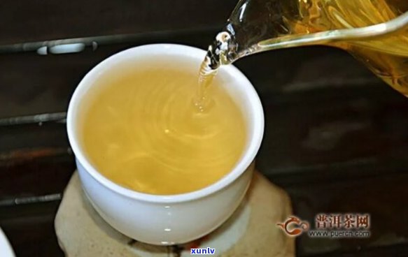 易武张家湾普洱茶：一款全面解析的茶叶品种与品质指南