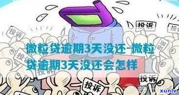 微利贷逾期三天会怎么样如何处理