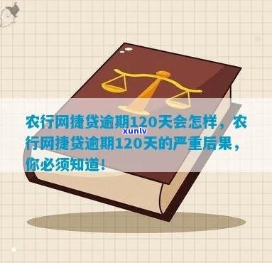 农行网捷贷逾期严重会有什么后果