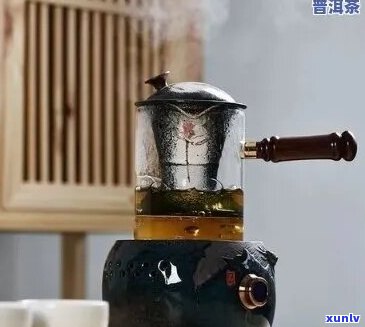 普洱茶能用煮茶器吗？如何煮普洱茶？为什么普洱茶可以用煮茶器？