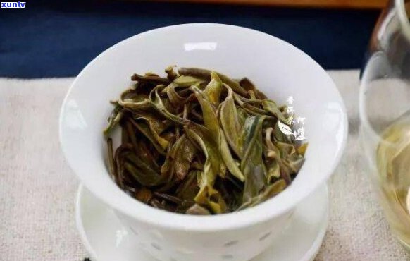 普洱茶是茶客的最归宿吗？为什么喝茶人爱普洱茶？