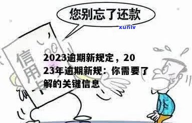 2023年白条逾期会怎样