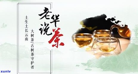 普洱茶中的电解质成分及其对人体健的益处解析