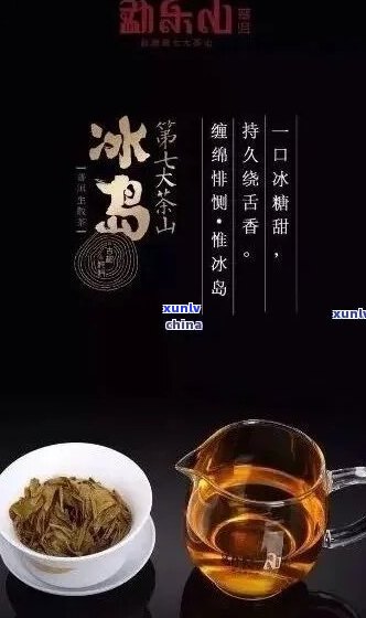 冰岛茶：品味非凡的独特魅力与昂贵价格背后的奥秘