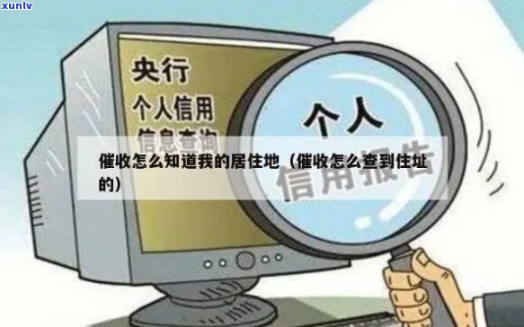 是如何查到户地信息的