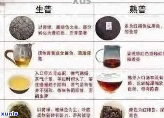 普洱茶的适宜人群解析：健达人、消化系统疾病患者与压力缓解者的理想之选