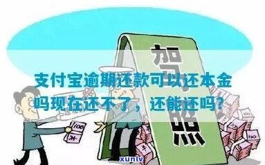 支付宝逾期之后可以只还本金吗