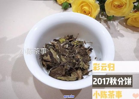 糯米味普洱茶：红茶还是白茶？揭开其独特风味的秘密