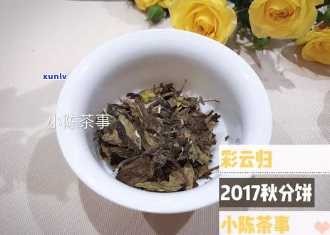 糯米味普洱茶：红茶还是白茶？揭开其独特风味的秘密