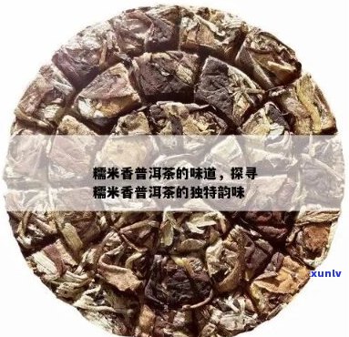 糯米味的普洱茶好不好喝：探究糯米香普洱的魅力与口感