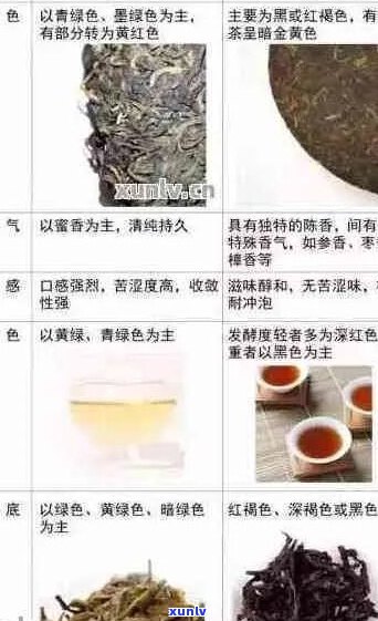 探究各种熟普洱茶品种：从经典到现代的茶艺瑰宝