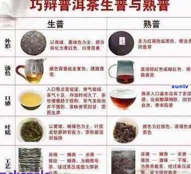 探究各种熟普洱茶品种：从经典到现代的茶艺瑰宝