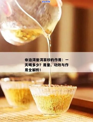 帝泊洱人参普洱茶珍：全面解析其独特功效与益处