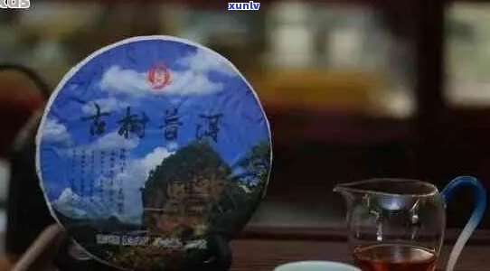 云南普洱茶8663:古树韵味，醇厚回，珍藏品饮新体验