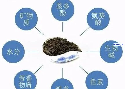 普洱茶含氟化物成分：多少？