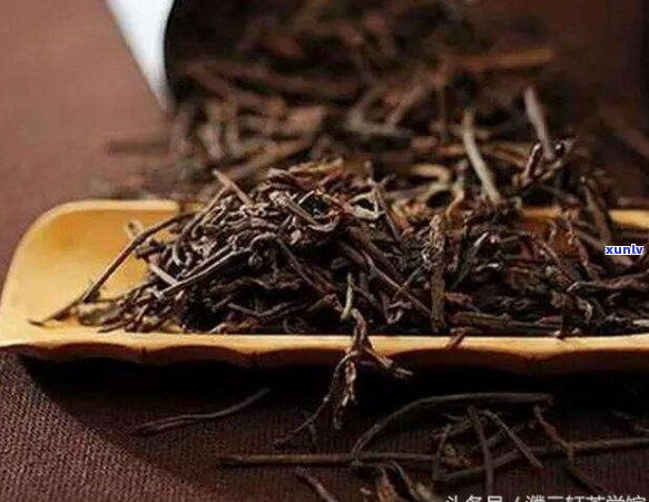 广东普洱茶市场存量分析及其影响因素