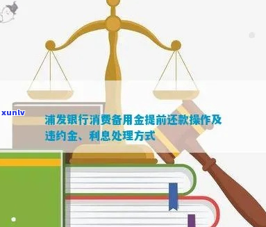 浦发银行备用金期还款如何操作