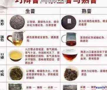 普洱茶所有大全：哪些是市场上最知名的普洱茶？