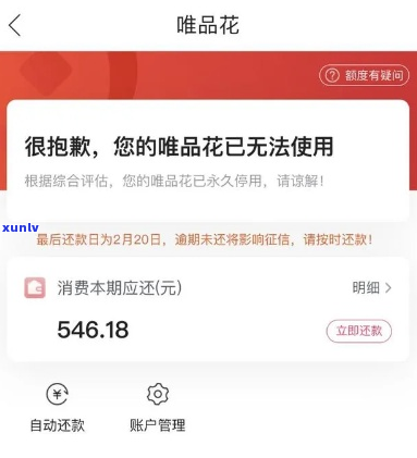 唯品会金融欠款人无力偿还怎么办