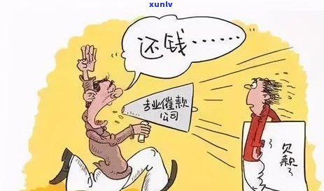 收到网贷催款的律师函应该怎么处理