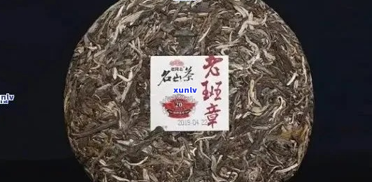 深入剖析：班章茶品系中黄金叶和老班章的独特区别与价值