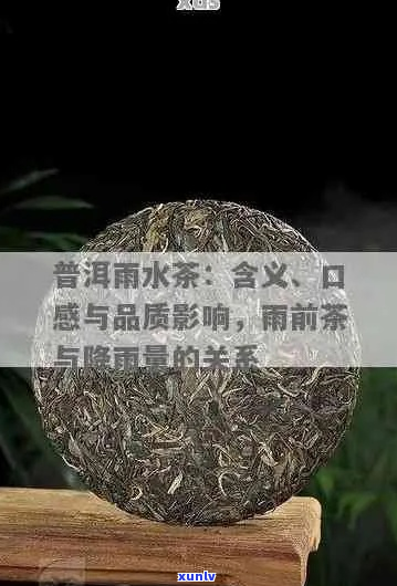 '雨水与普洱茶差异解析：影响普洱茶品质的关键因素'