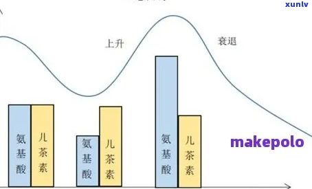 新 深度解析：红茶涩味浓重背后的科学原理与影响因素