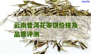 新优质菊花牌普洱茶的市场价格分析与比较