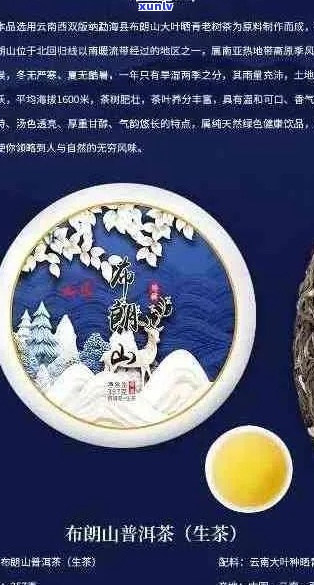 凤冠山普洱茶价格解析：了解其品质、产量和市场行情，助您做出明智购买决策