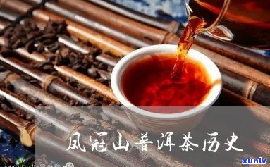 凤冠山茶文化传承：普洱古茶的历与创新