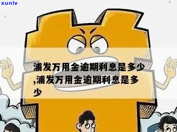 欠浦发万用金三十几万怎么办