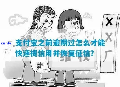 支付宝还完逾期部分后如何恢复信用