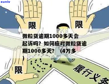 欠微粒贷1000块怎么办