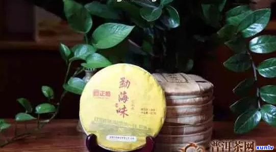 勐茶与勐海茶：普洱茶口感对比，哪个更美味？