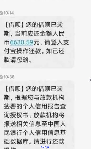 逾期都是怎么给联系人发送通知的