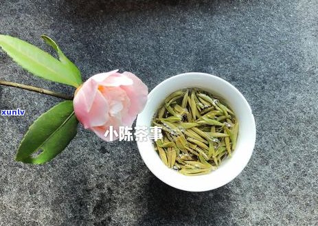 深入剖析普洱茶与红茶：品种、口感、功效与品鉴技巧的全方位比较