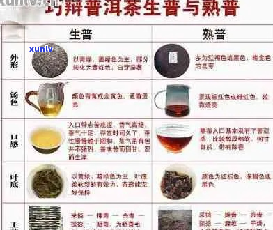 祥润号普洱茶：品种、产地、品质、 *** 工艺、口感及泡法全方位解析