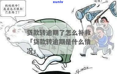 周转贷款逾期会有什么后果