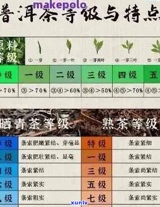 探究大益普洱茶的编号系统：从数字中揭示品质与年份的秘密